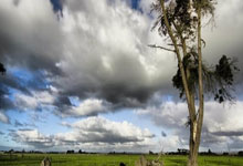 秀人网模特王馨瑶yanni大尺度诱人私拍包臀裙配星光情趣裙助力福利